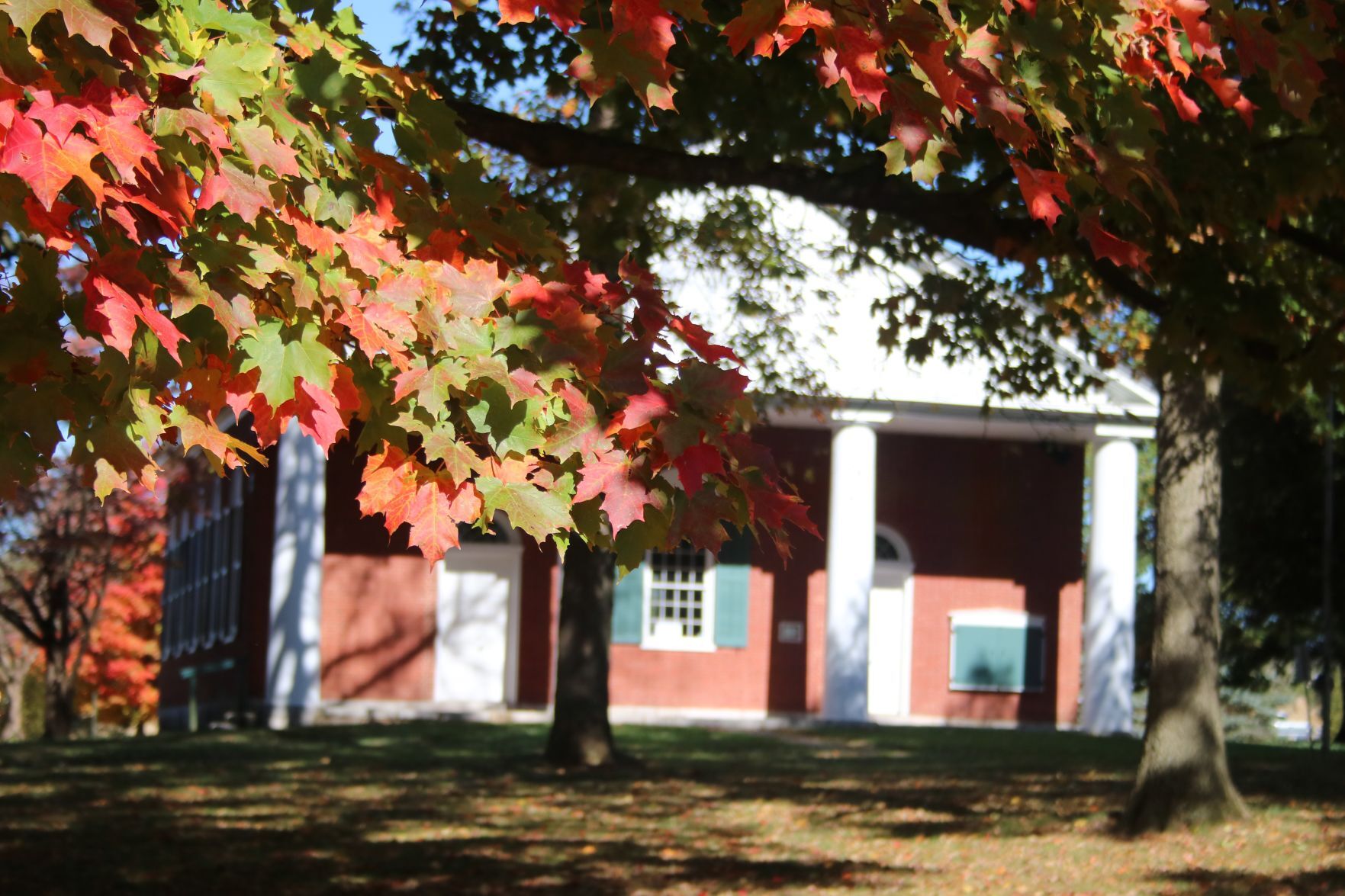 Fall colors visiting the area